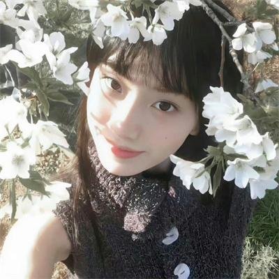 法网追凶第三季